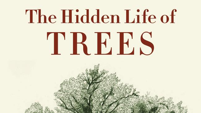 The Hidden Life of Trees by Peter Wohlleben is another option for dads this Father’s Day.