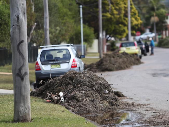 Piles of sea wrack line the streets around Tuggerah Lake. Picture: Sue Graham