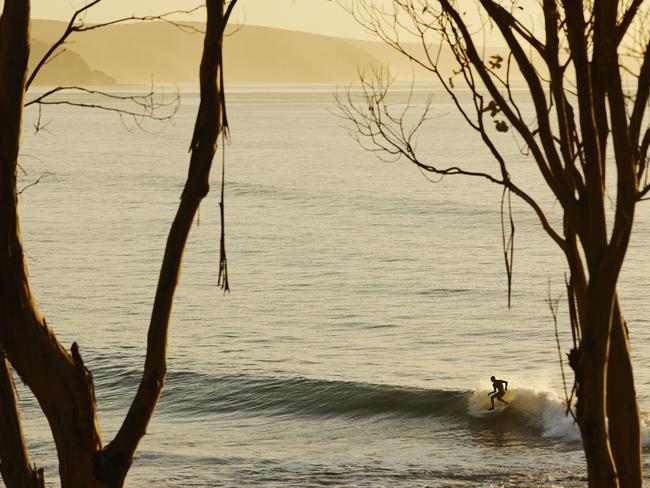 Taken during a morning isolation outing in Lorne, Victoria. Picture: Matt Cherubino @mattcherub