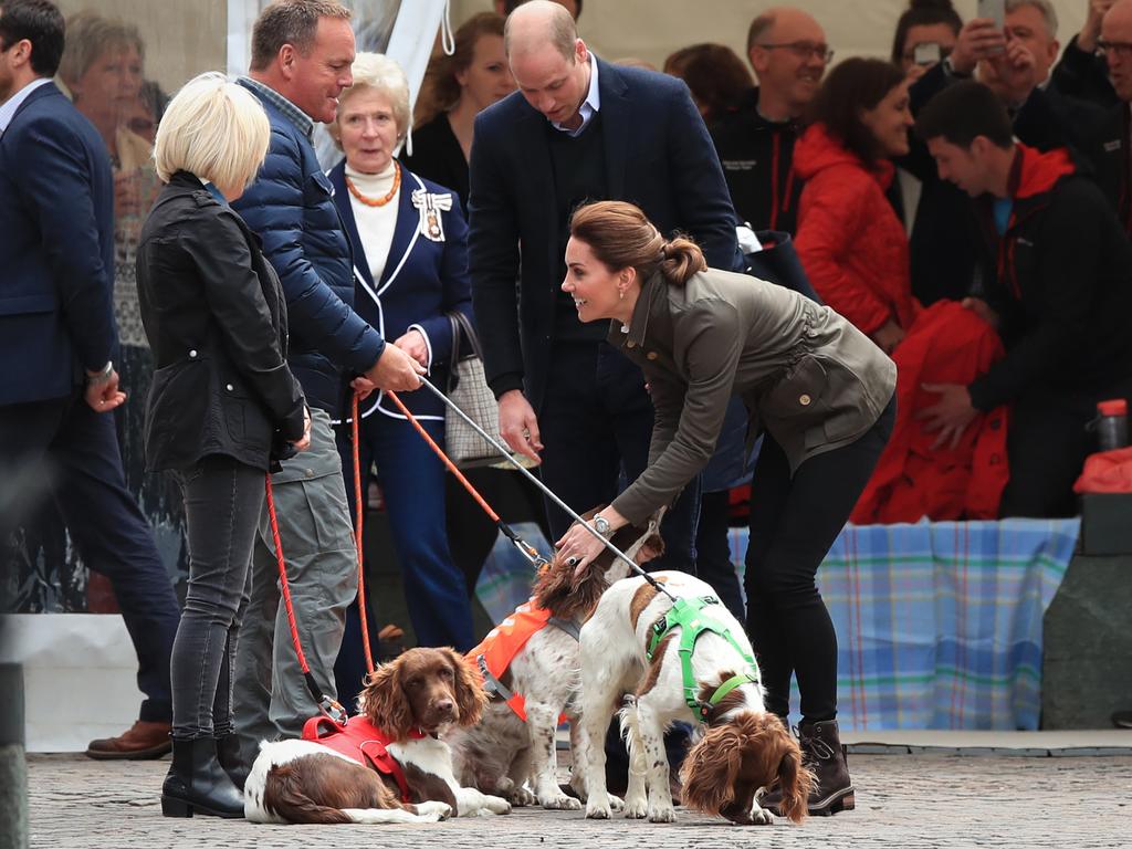 These dogs were lucky enough to get a royal pat. Picture: Peter Byrne/PA Wire