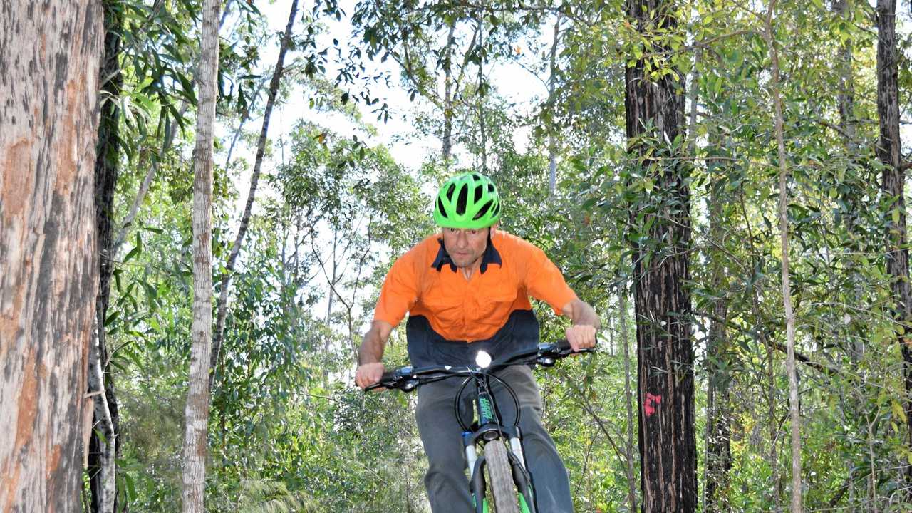 new italy mountain bike forest