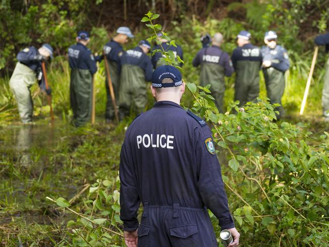 NSW Police search bushland at Batar Creek in NSW, looking for evidence in the William Tyrrell case. Picture: AAP/Shane Chalker