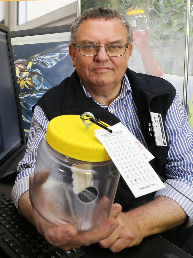 Biosecurity Tasmania general manager Lloyd Klumpp with a fruit fly trap. Picture: CHRIS KIDD