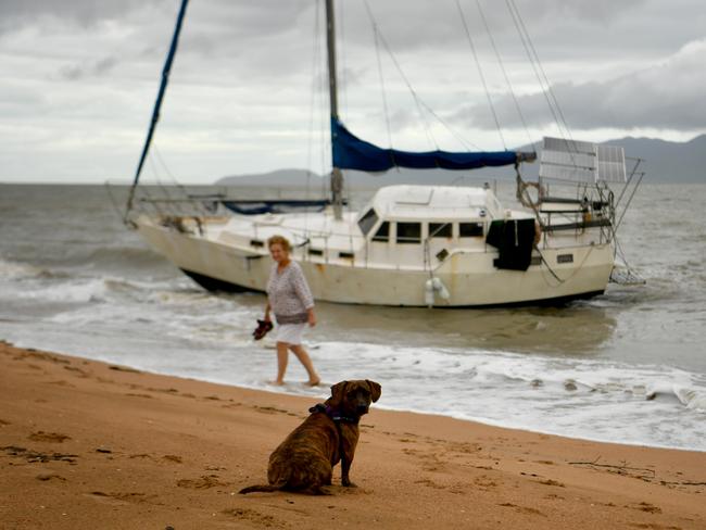 Cyclone Kirrily Townsville 2024. Molly checks out a boat washed up on the Strand, near the C Bar. Picture: Evan Morgan