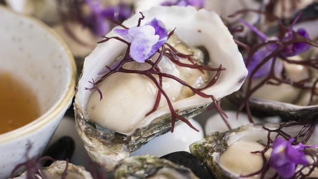 Me-Gal stunning oysters. Picture: Anna Kucera