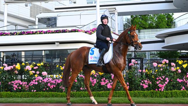 Melbourne Cup favourite Vauban ridden by David Casey at Flemington on Tuesday. Picture: Getty Images