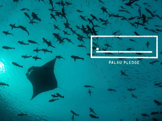 Visitors to Palau must act in an ecologically responsible way, for the sake of Palau’s children and future generations of Palauans. Picture: Supplied/ Palau Pledge