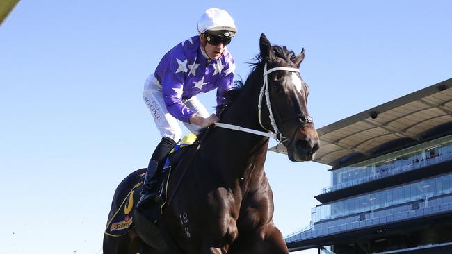 Kalino can maintain his winning form. Picture: Mark Evans/Getty Images