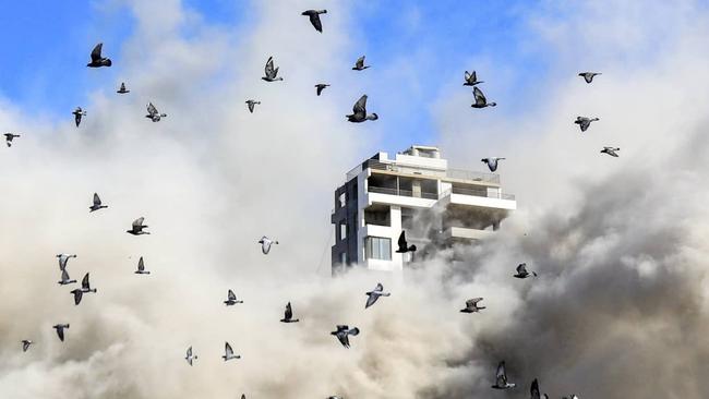 Birds scattered after an Israeli airstrike in a suburb of Beirut. Picture:: AFP/Getty Images