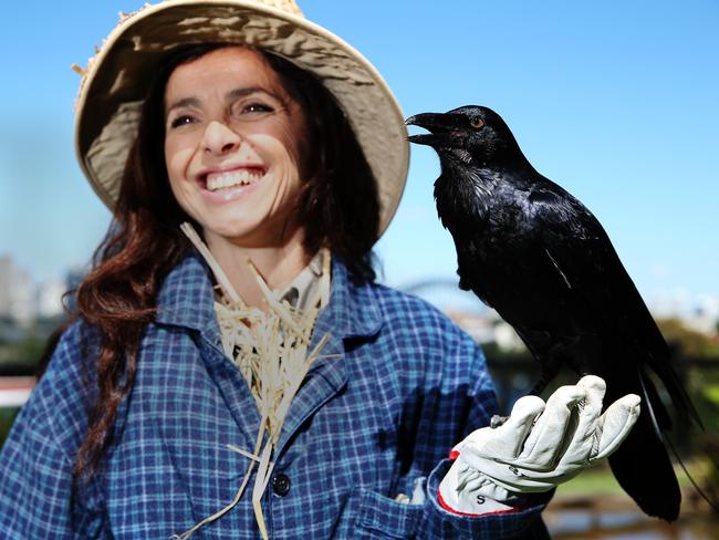 Taronga Zoo keeper/scarecrow Claudia Bianchi with Chester the raven. Picture: Carly Earl