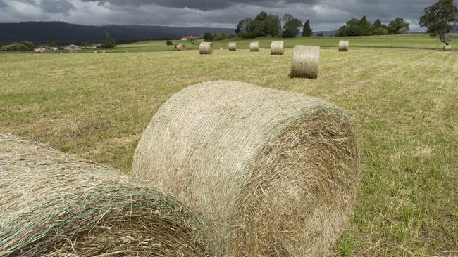 Staying low: Low hay prices are expected to put pressure on producers to cut production to match demand.