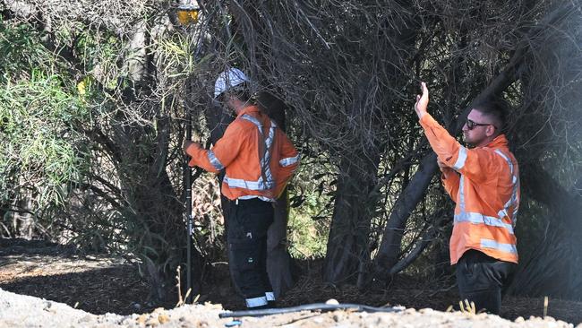 Surveyors at the site. Picture: NewsWire / Brenton Edwards