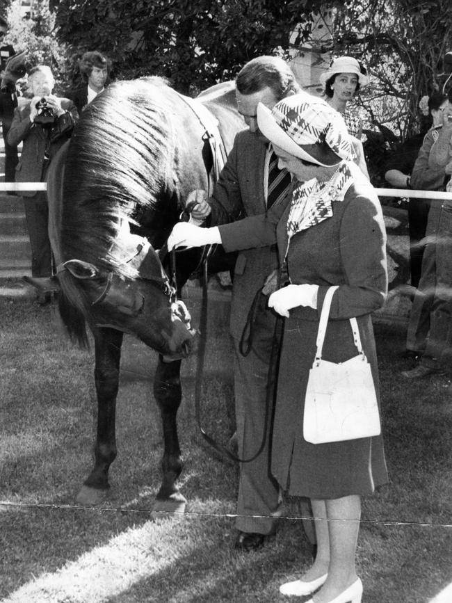 A bowing champion stallion ‘Without Fear’ seemed to know it was a proud moment when the Queen inspected him at Lindsay Park Stud with managing director Colin Hayes.