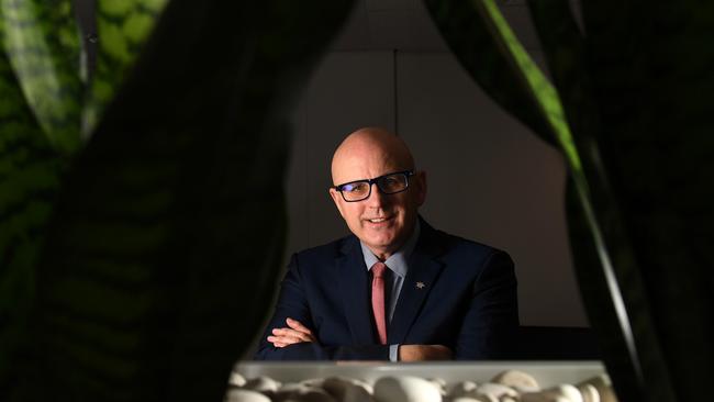 CEO of Business SA Nigel McBride. Pic: Tricia Watkinson.