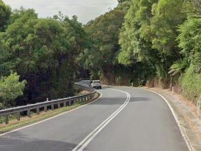 Waterfall Way, Dorrigo Mountain near Coffs Harbour. Picture: Google Maps