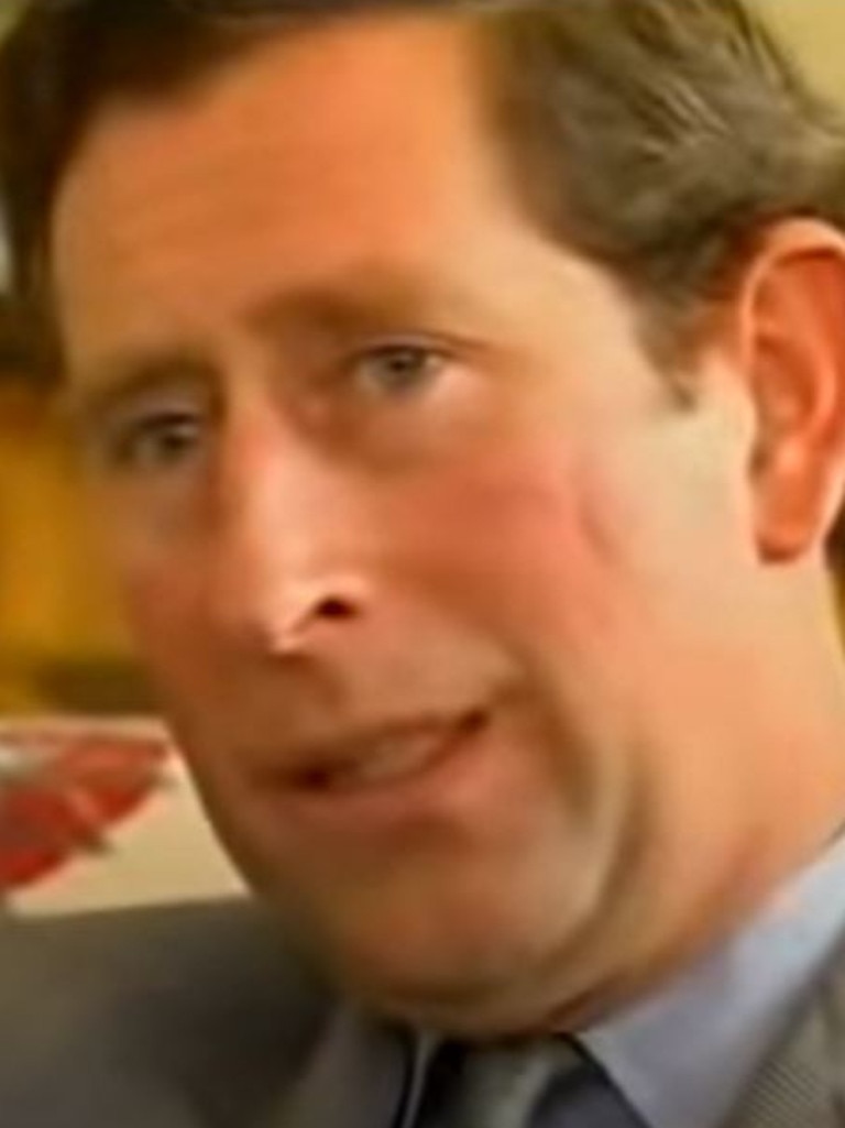 Prince Charles during his 1994 TV interview.