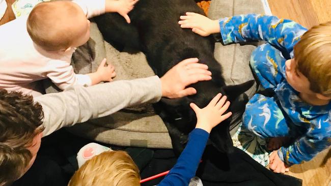 Scott Pape and his family with their pet dog Betty.