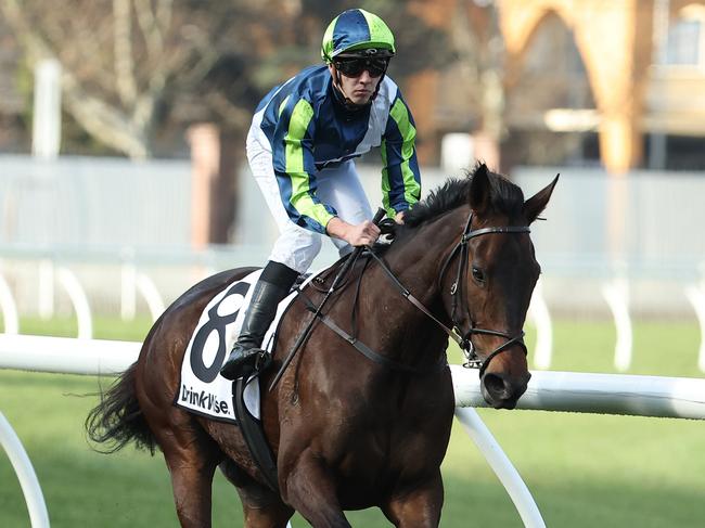 SYDNEY, AUSTRALIA - JULY 27: Zac Wadick riding Space Age wins Race 6 Drinkwise Mile during Sydney Racing at Royal Randwick Racecourse on July 27, 2024 in Sydney, Australia. (Photo by Jeremy Ng/Getty Images)