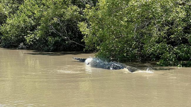 Proserpine local Steve Rix has shared on a Facebook group photos of two crocodiles in a fight. Picture: Steve Rix