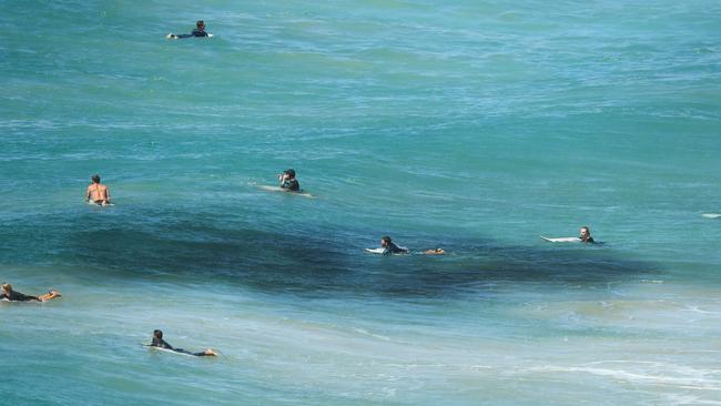 Surfers in the middle of a bait ball at Duranbah Beach on the Queensland NSW Border just days after a Fatal shark attack just 500 metres away at Greenmount Beach Coolangatta. Photo: Scott Powick News Corp