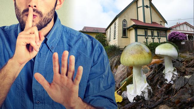 ‘We’re not cult-like’ How staying silent cost town at centre of mushroom meal