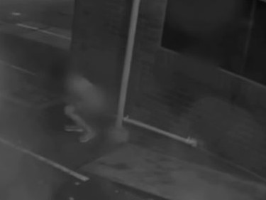 Staff have now taken the footage public in a bid for help. Picture: Nine