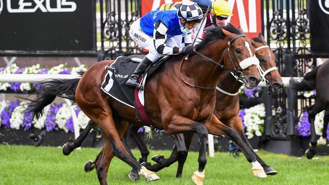 Ashrun, ridden by Kerrin McEvoy, books his place in Tuesday’s Melbourne Cup with victory in the Hotham Stakes at Flemington. Picture: Getty Images