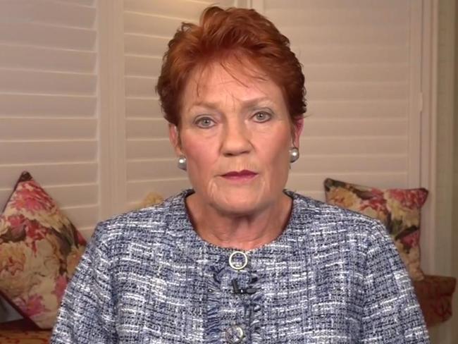 Pauline Hanson vows to call out the ‘hypocrites and liars’ within the Labor Party
