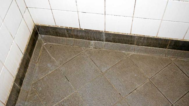 One week on since the Lismore Echo exposed the state of the Lismore Transit Centre bathrooms, residents are outraged the showers and other facilities are still so disgusting. Picture: Samantha Poate