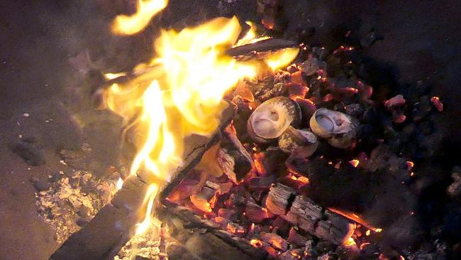 Hobart Winter Feast "Fire and Ice" interactive program for kids.Warrener cooking on the fire (also known as turban shell, or periwinkle)Picture: ELAINE REEVES