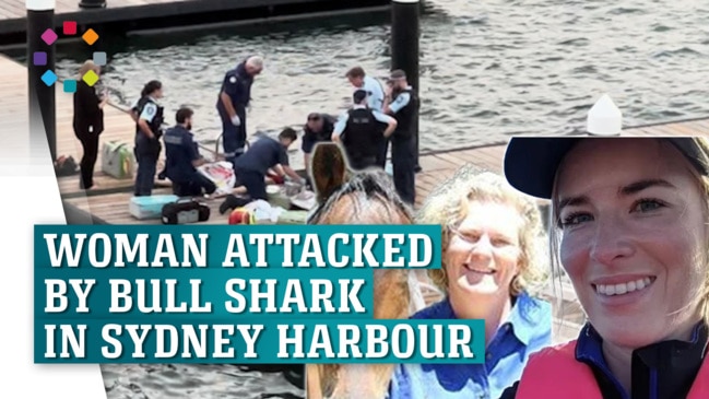 Woman attacked by bullshark in Sydney harbour