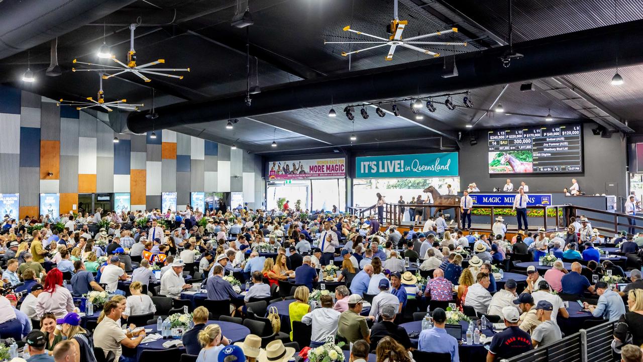 Magic Millions 2025 on the Gold Coast to be biggest carnival yet The