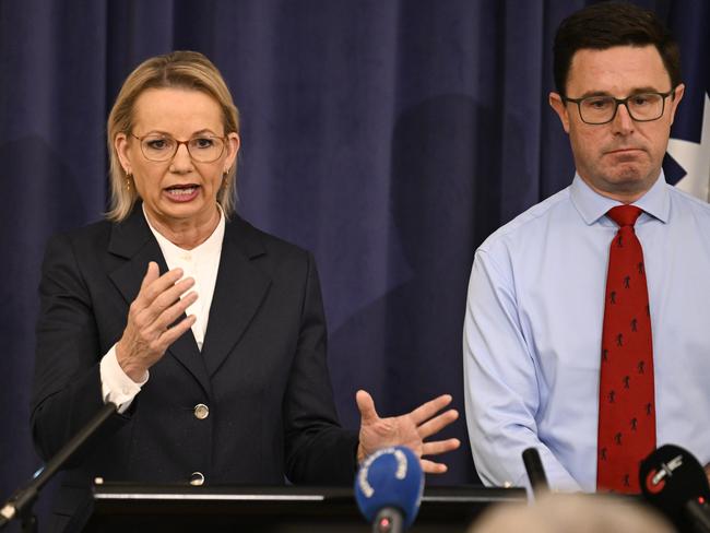 CANBERRA, AUSTRALIA  - NewsWire Photos - May 28, 2025: Leader of the Opposition Sussan Ley and Party leader of the National Party of Australia David Littleproud hold a press conference at Parliament House in Canberra Picture: NewsWire / Martin Ollman