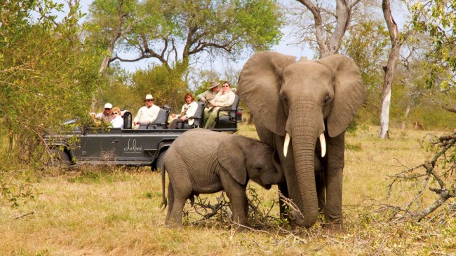 I saw the Big 5 in just 6 hours at this African safari lodge