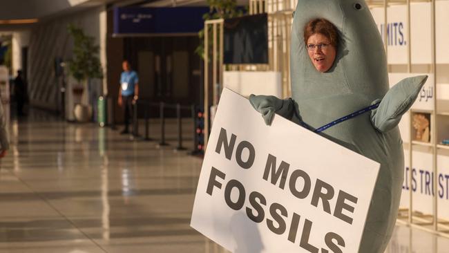 An environmental activist wearing a costume displays a placard in a hallway during the COP28 United Nations climate summit in Dubai. Picture: AFP