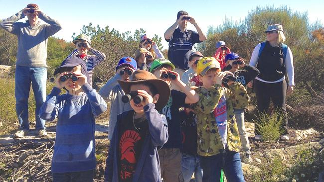 A bushwalking birthday party with Eco Treasures.