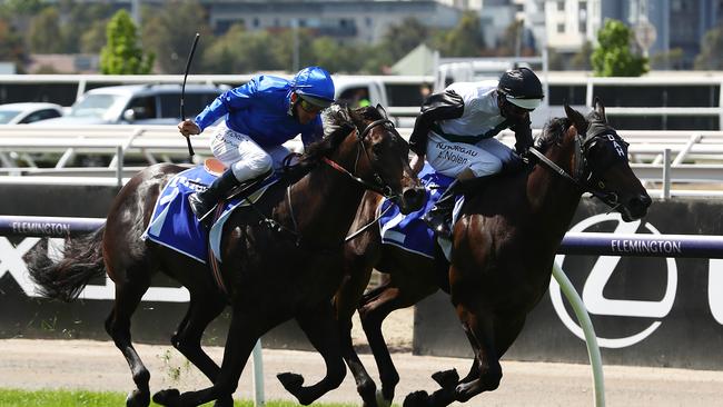 Luke Nolen and Finance Tycoon, right, take out the Darley Maribyrnong Plate during 2020 Lexus Melbourne Cup Day at Flemington Racecourse. Picture: Robert Cianflone/Getty Images for the VRC