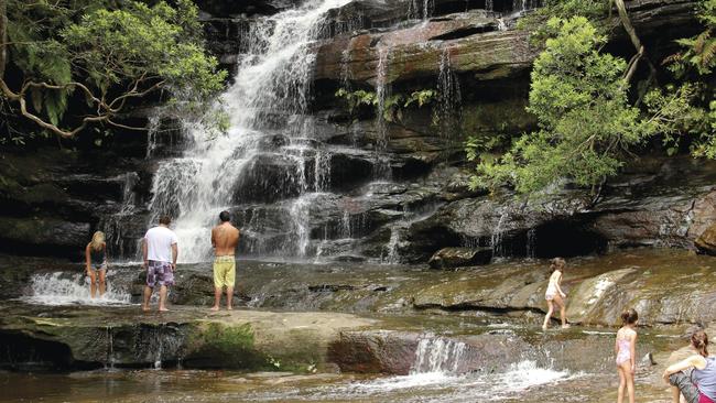 Fabulous bushwalks on the NSW Central Coast | Daily Telegraph