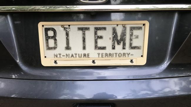 Looks like this plate has already been chewed. Picture: Sharon Izzard