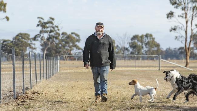 Farmer Ben Duxson on his farm at Kanya with dogs Jack Russell Spud and Border Collie Charlie. Picture: Zoe Phillips