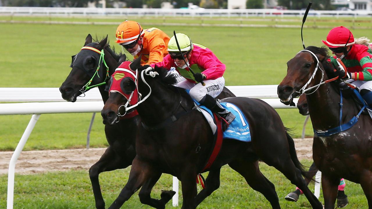 War General, ridden by Masayuki Abe (orange silks), narrowly edges out Sylvester and Cadence to win Race 3, the 900 metre Benchmark 60 Handicap at the Banana Industry Race Day, held at the Innisfail Turf Club. Picture: Brendan Radke