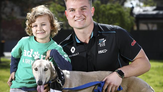 POWER AND SPEED. Port Adelaide bullish midfielder Ollie Wines is the new ambassador for Greyhound SA’s campaign to have racing greyhounds adopted for six weeks after the retire. Wines is pictured with fan Billy Dumanovic and greyhound Tikanni. Picture: Sarah Reed