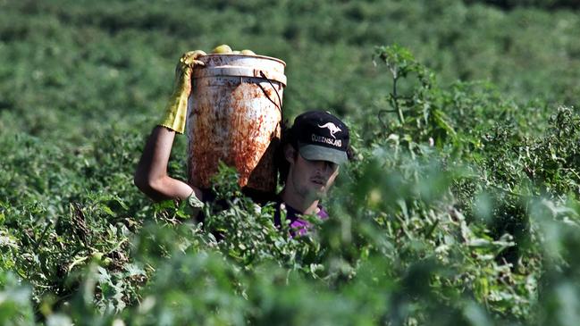 Businesses that came to rely on temporary migrants as one of their principal sources of workers are those that are complaining loudly about worker shortages.