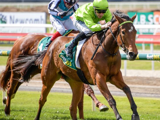 Affair To Remember should be right in the mix at Morphettville.