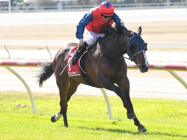 Finance Legend ridden by Jarrod Fry wins the Cellarbrations Horsham Maiden Plate at Horsham Racecourse on May 04, 2024 in Horsham, Australia. (Photo by Brett Holburt/Racing Photos via Getty Images)