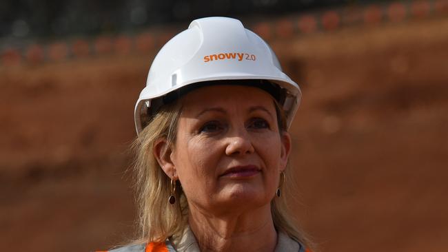 Environment Sussan Ley said the New Acland mine was an example where legal challenges had significantly held up a major project. Picture: AAP Image/Mick Tsikas