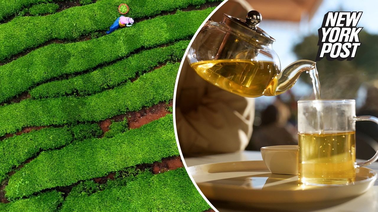 Experts call green tea a 'nutrition unicorn'