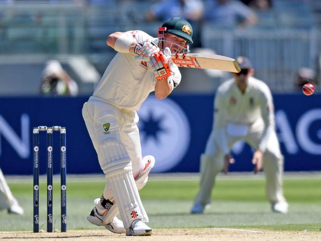 David Warner (above) and Steve Smith are currently in India for the Indian Premier League. 