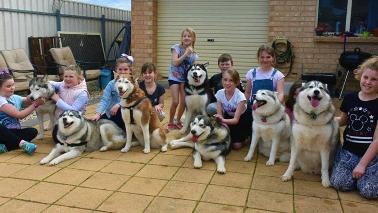 Tammy Leverington, of Christie Downs, fulfilled her daughter Dalataya's wish to have a husky-themed party to celebrate turning 9. Picture: Tammy Leverington