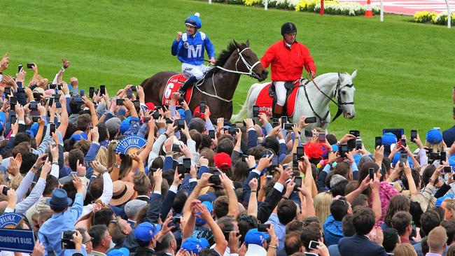 Winx after winning her fourth Cox Plate at The Valley.